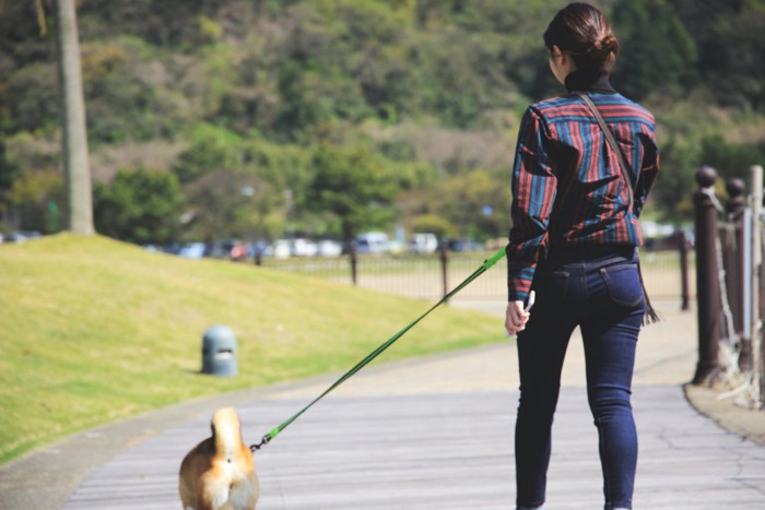 犬の散歩をする女性