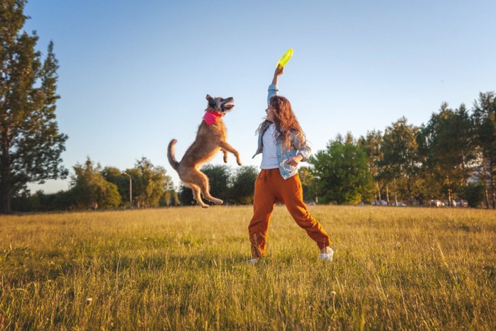 ディスクで遊ぶ女性と犬