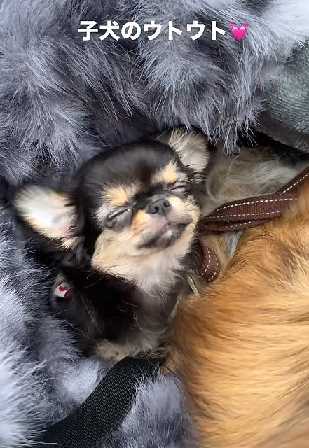 眠くなってしまった