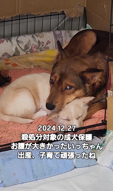 幸せを掴んだいっちゃん＆アロマちゃん3