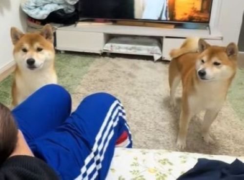 子どものような姿が愛おしい…♡