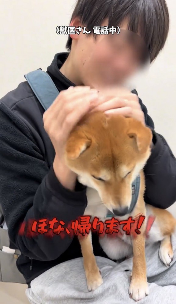 頭を下げる犬