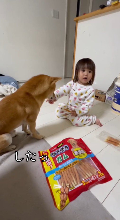 おすわりをした犬を見て驚く女の子