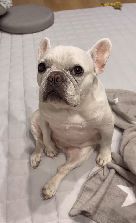 はなちゃんの体勢8