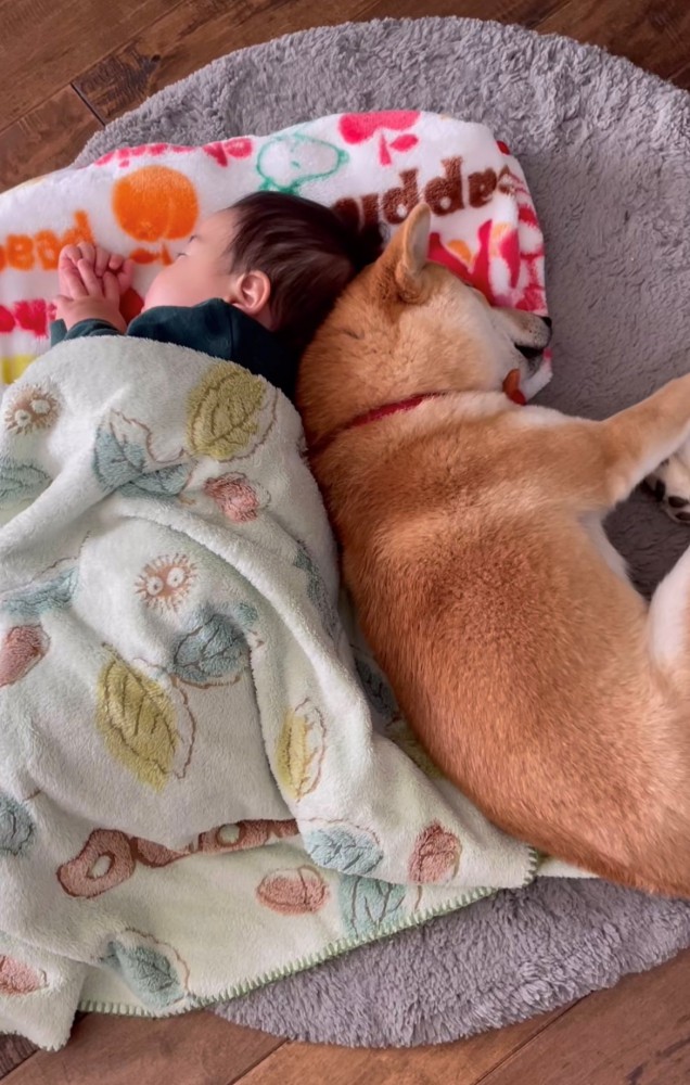 背中を寄せ合い眠るふたり