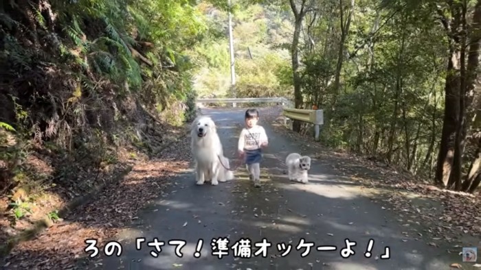 準備万端のろのちゃん