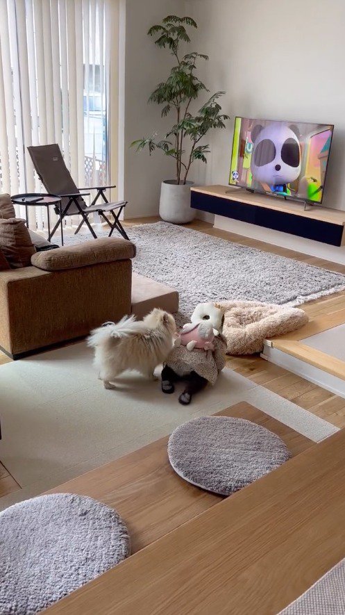 女の子のそばに寄る犬