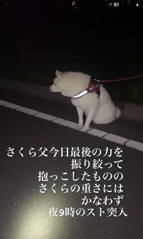 さくらちゃんの帰宅拒否9