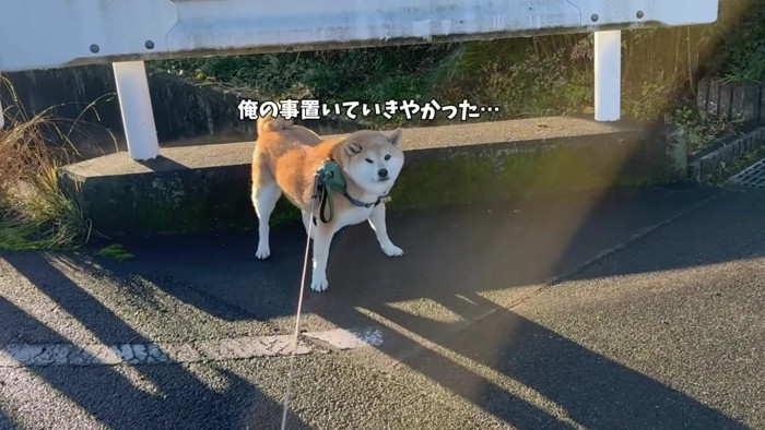 おもちくんが拒否柴に！！