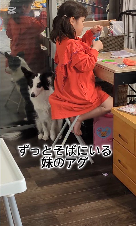 作業中のお姉ちゃんとアグちゃん3