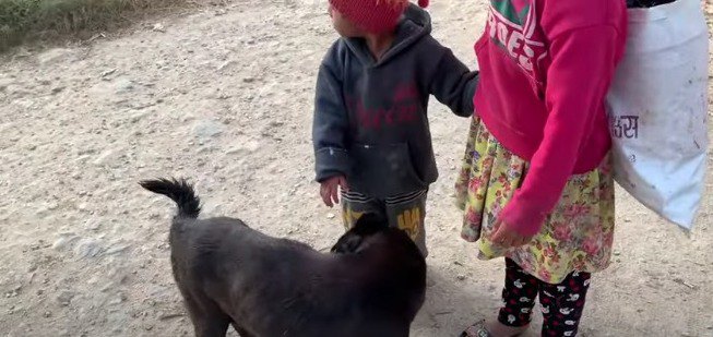 小さな子とカーリー