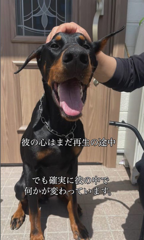 豹馬くんの変化9