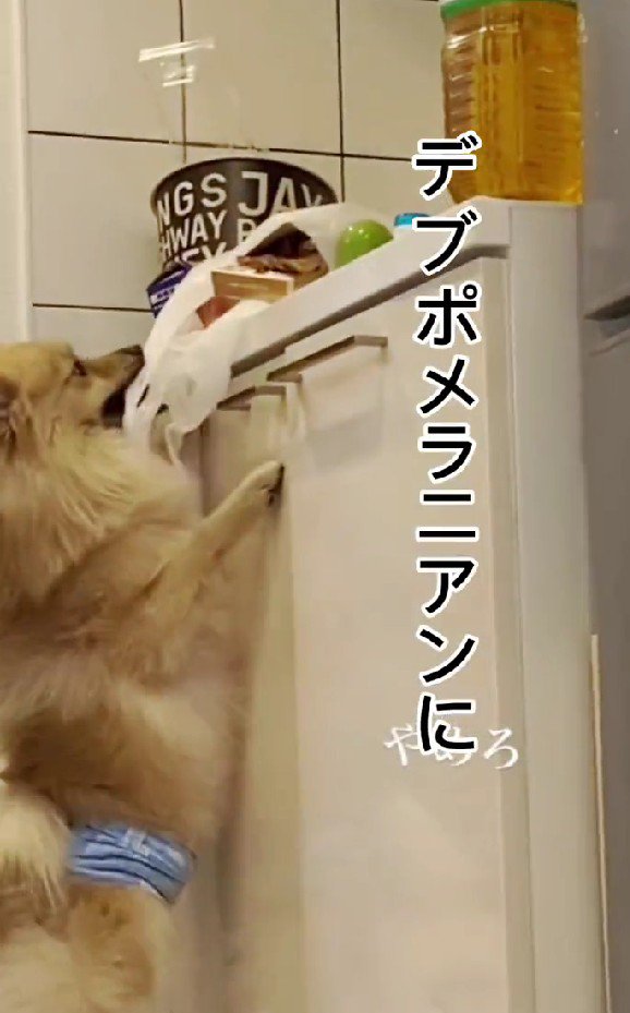 スクスク成長したね！