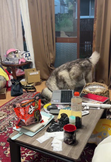 恐る恐る部屋に入るも…
