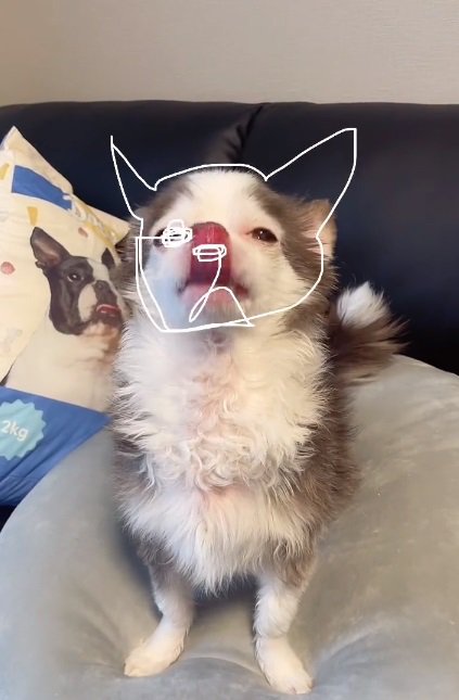 目をなぞる投稿主さん