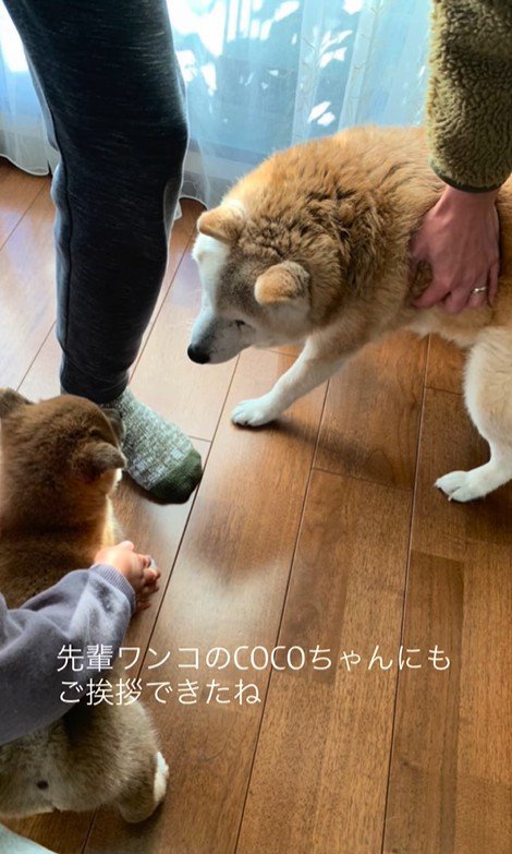 いとちゃんの成長記録4