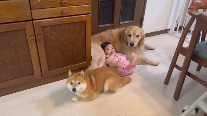 自然と集まる3兄妹♡