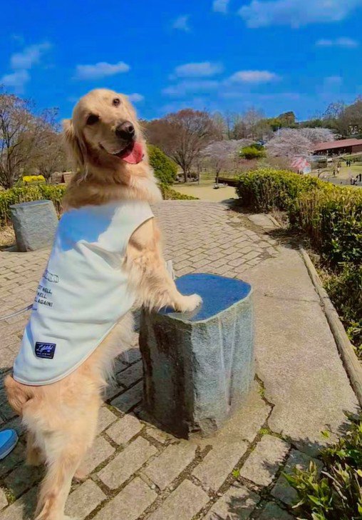 おでかけが楽しくてニコニコ♪