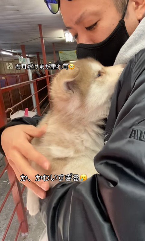 茶々丸くんと飼い主さんの出会い3