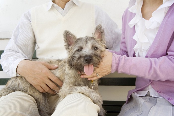 老人と犬