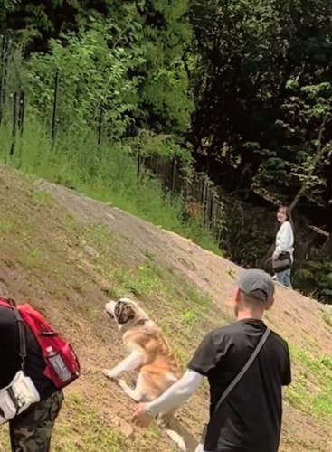 見上げるおもちちゃん