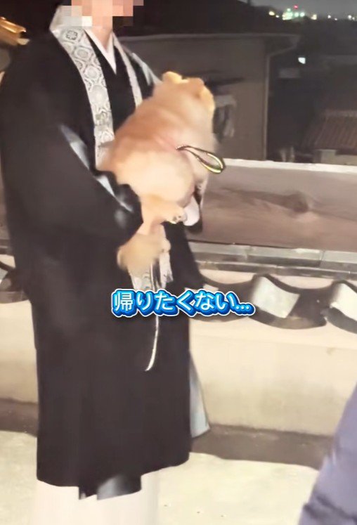 ちょっちゃんの年越し4