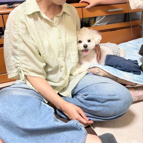 お母さん