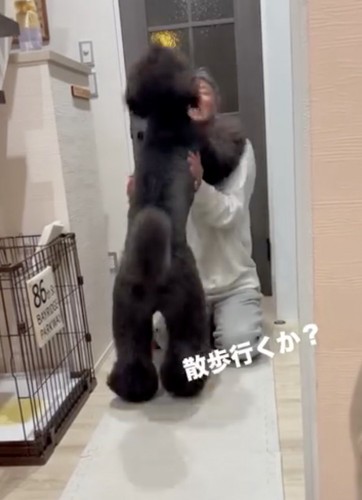 飛びついて喜ぶ犬