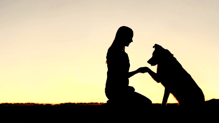 犬と人