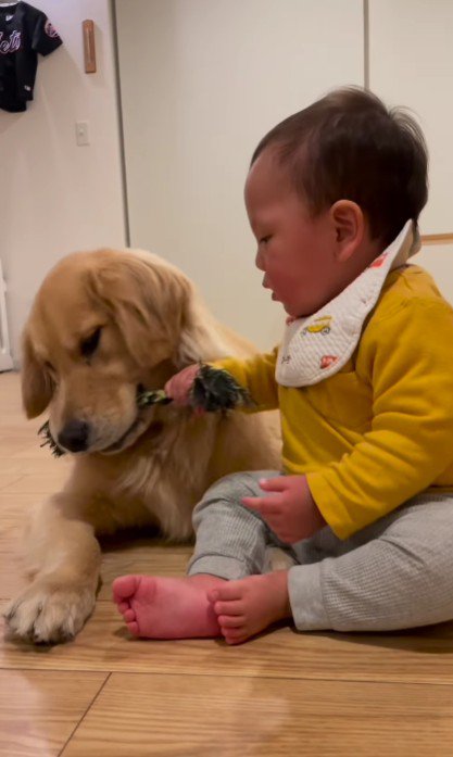 ロープで遊ぶめっちゃん