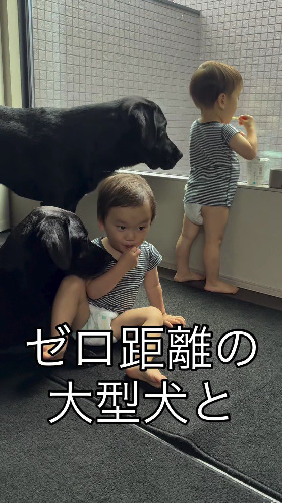 おやつを食べる双子の赤ちゃん