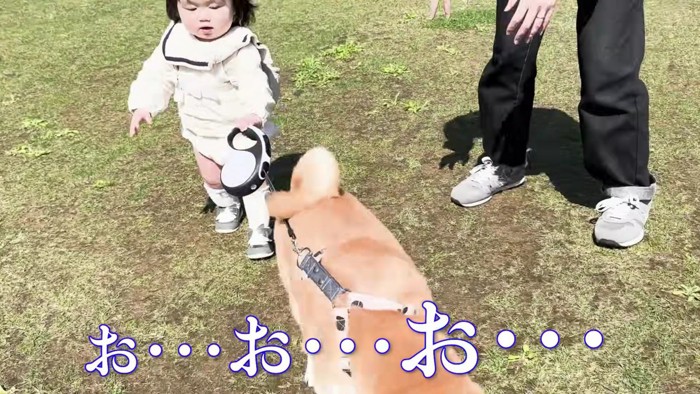 引っ張られながらも…