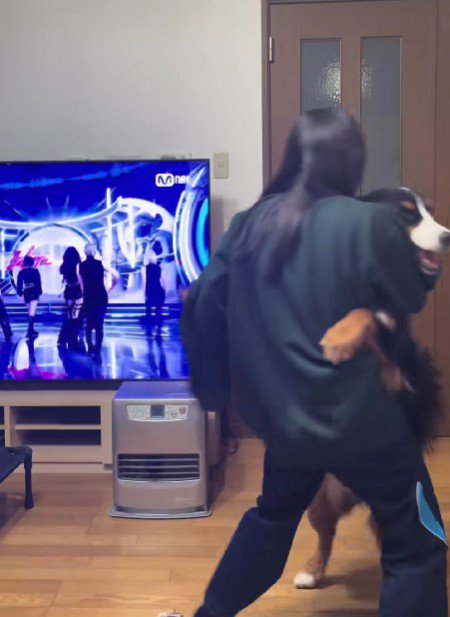 これは…なに…?