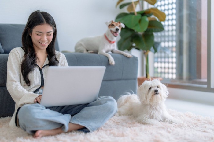 PCを使う女性と2頭の犬