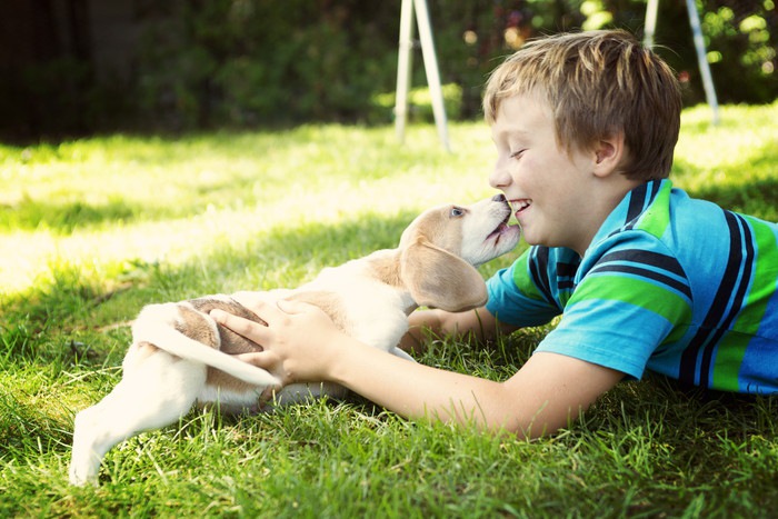 男の子と犬