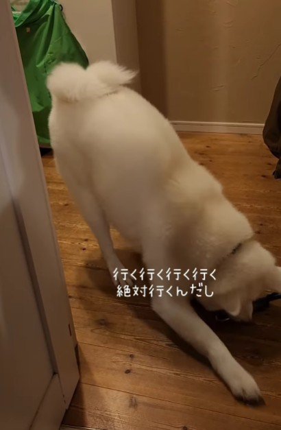 「連れて行って！」