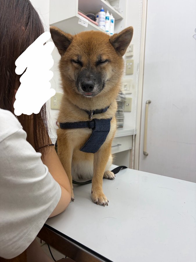 舌