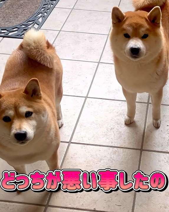 いたずら事件が勃発！
