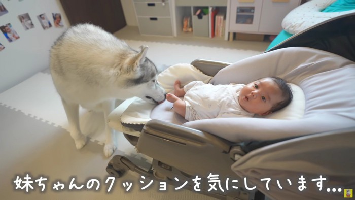「ここ汚れてる!」