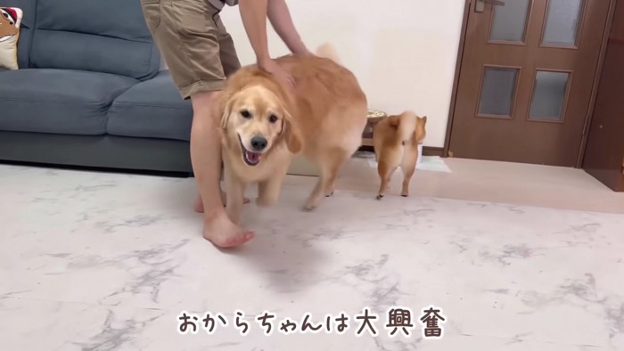 パパと久々の再会！！