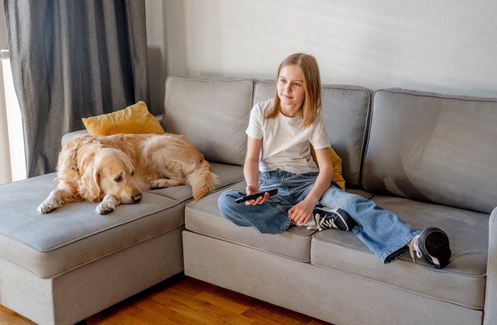 TV視聴中の少女と困った顔の犬