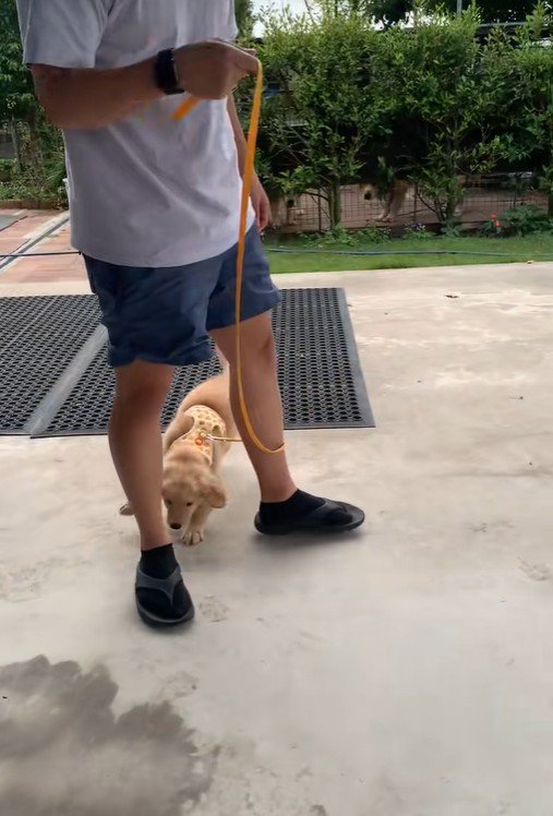 足元をちょろちょろ…