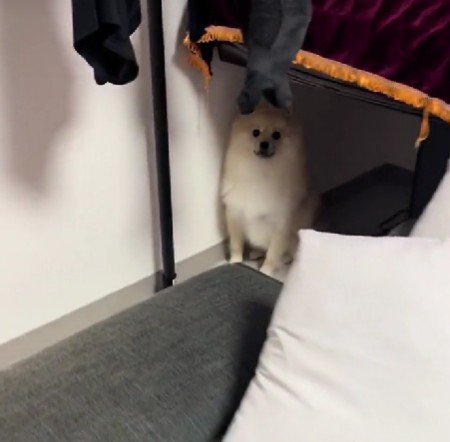 警戒心MAXのポンタちゃん