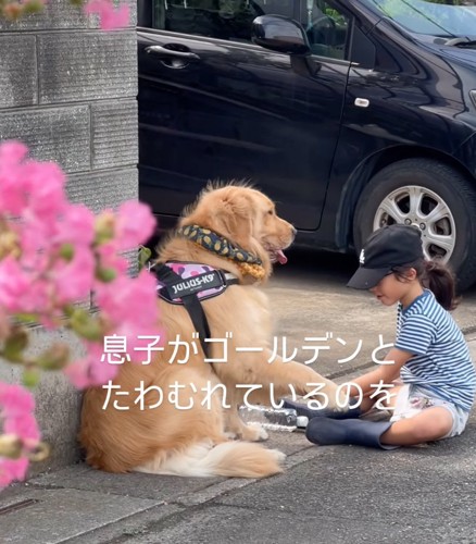 お手をする犬