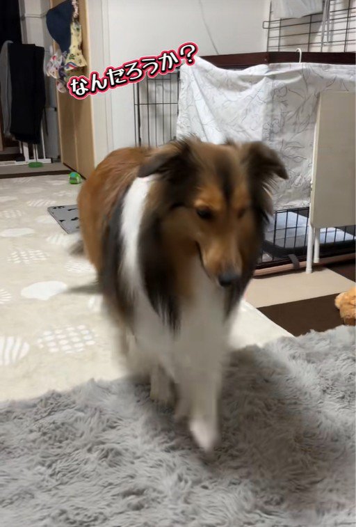 素直に来てくれました