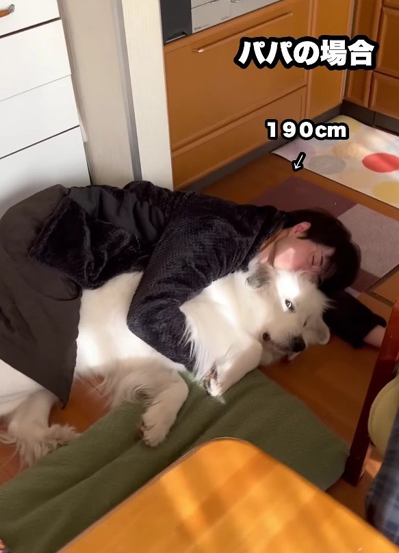 大柄なパパもこの通り