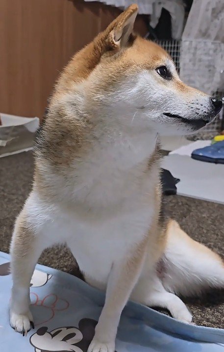 「なにか変かな？」