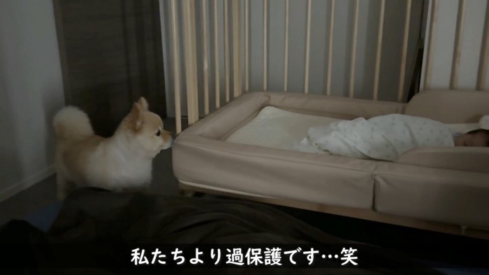 また赤ちゃんの様子を確認