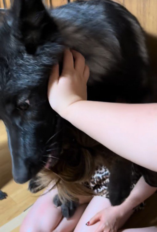 ご家族が止めても…