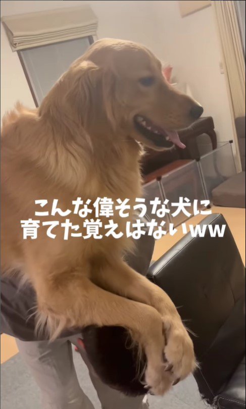 おんぶしてもらうおさる君2